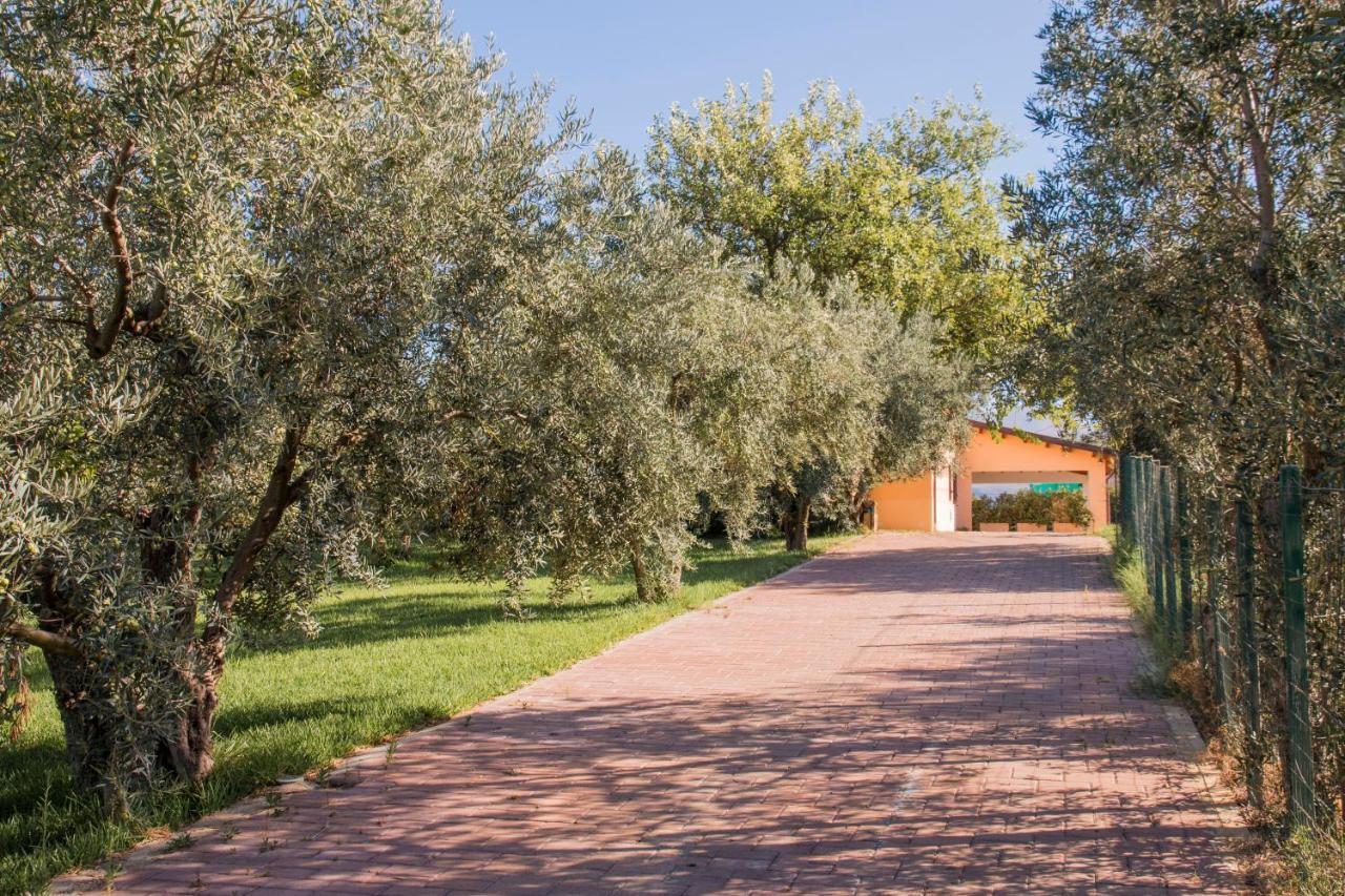 Villa Con Piscina Casale Di Gio Nel Golfo Di Castellammare Partinico Εξωτερικό φωτογραφία